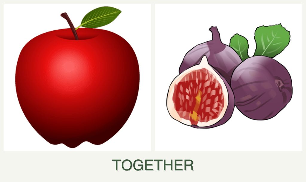 Can you plant apples and figs together?