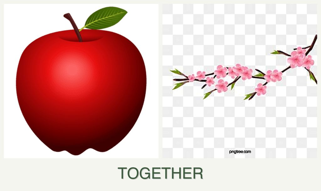 Can you plant apples and peaches together?