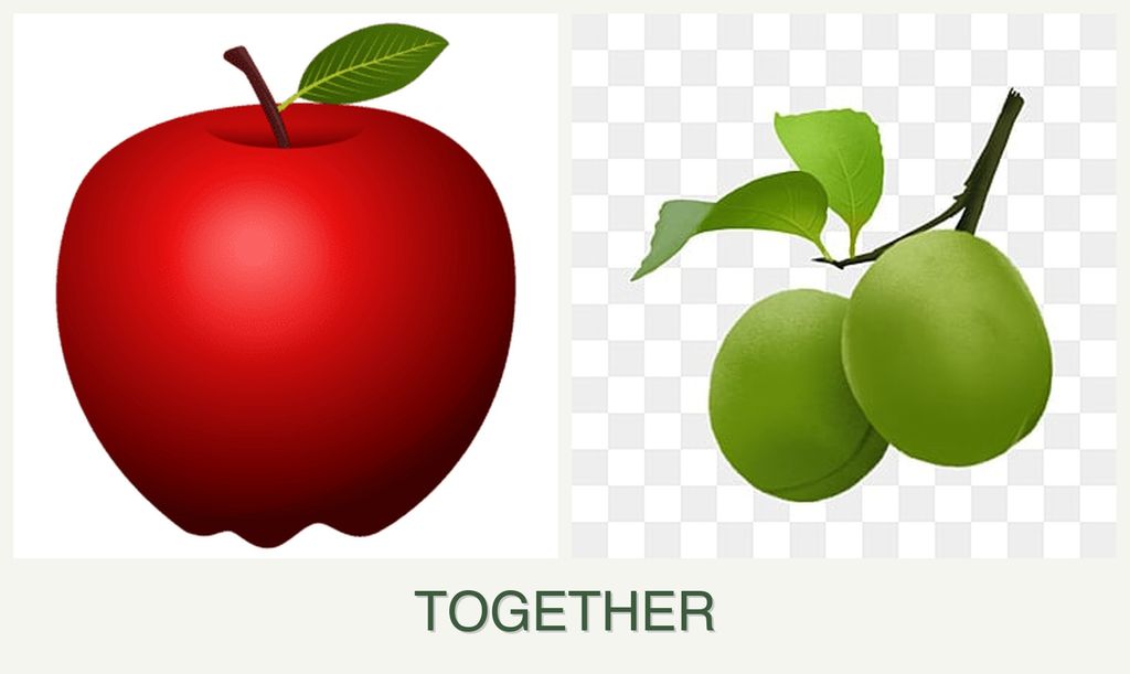 Can you plant apples and plums together?