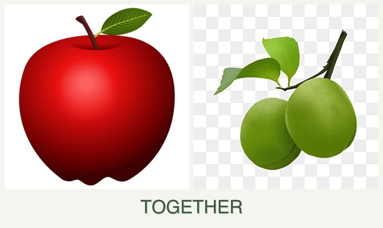 Can you plant apples and plums together?