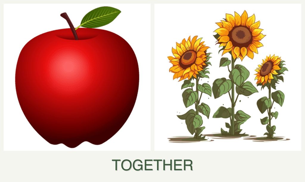 Can you plant apples and sunflowers together?