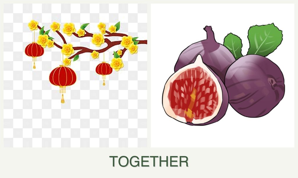 Can you plant apricots and figs together?