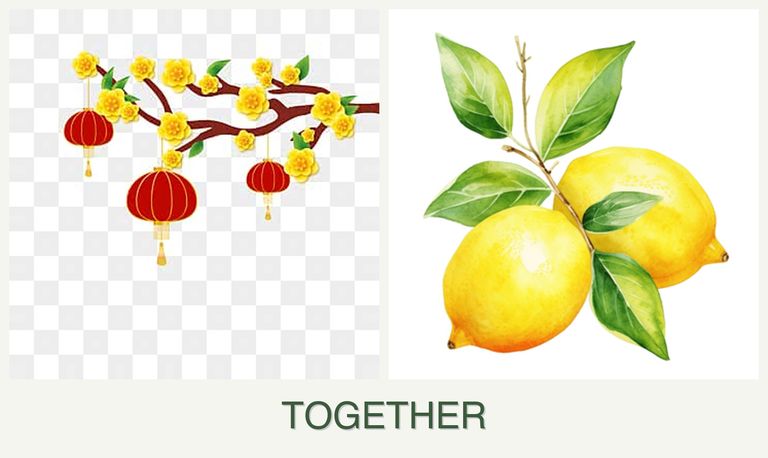Can you plant apricots and lemons together?