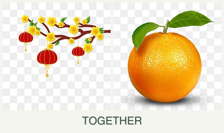 Can you plant apricots and oranges together?