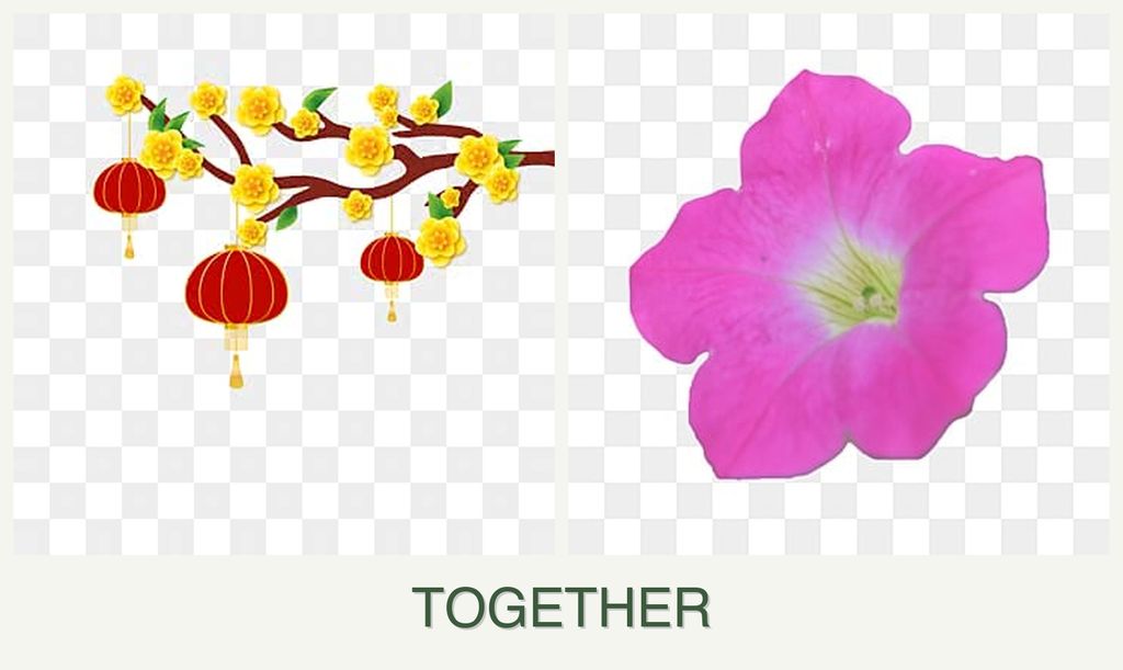 Can you plant apricots and petunias together?
