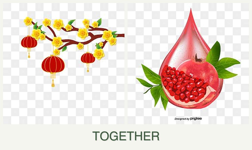 Can you plant apricots and pomegranates together?