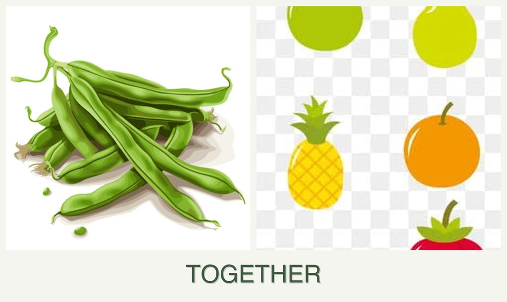 Can you plant beans and pears together?