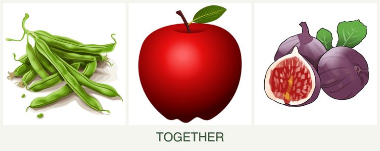 Can you plant beans, apples and figs together?