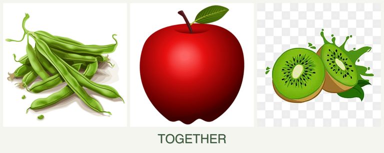 Can you plant beans, apples and kiwi together?