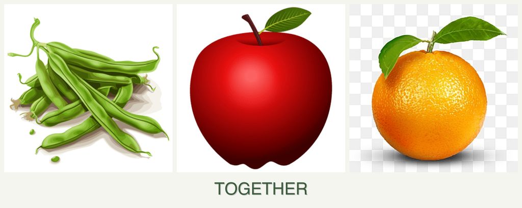 Can you plant beans, apples and oranges together?