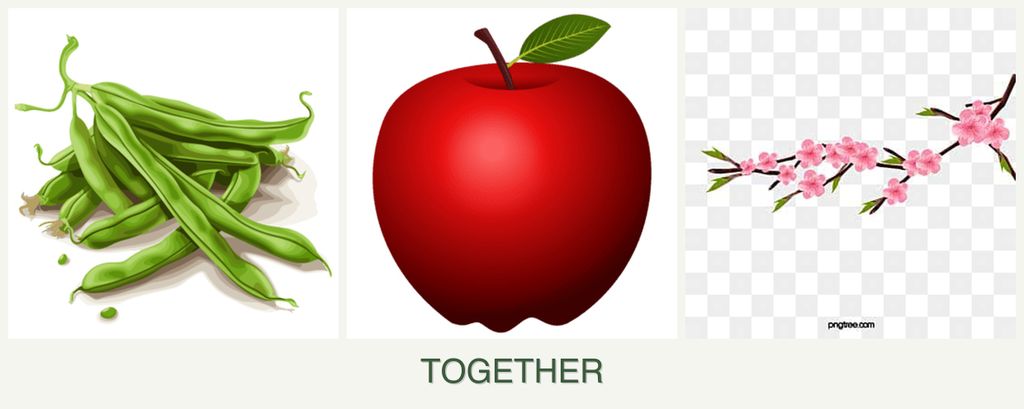 Can you plant beans, apples and peaches together?