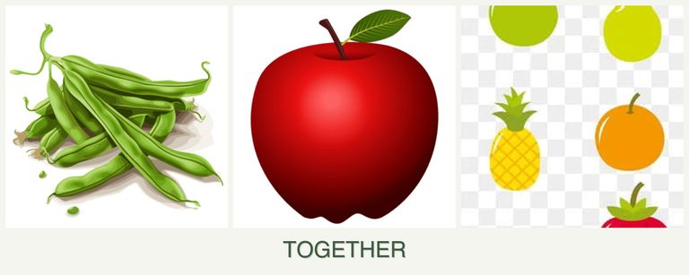 Can you plant beans, apples and pears together?