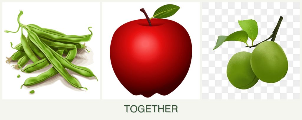 Can you plant beans, apples and plums together?
