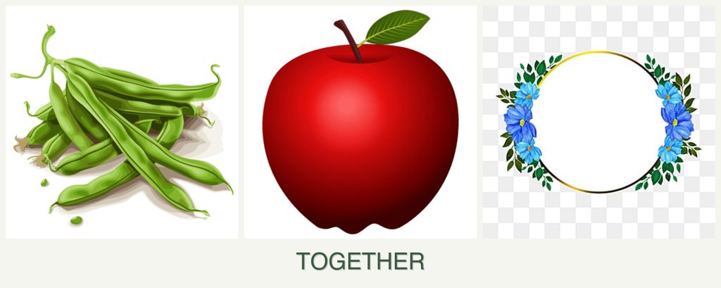 Can you plant beans, apples and zinnias together?