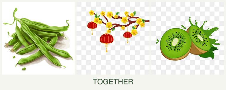 Can you plant beans, apricots and kiwi together?