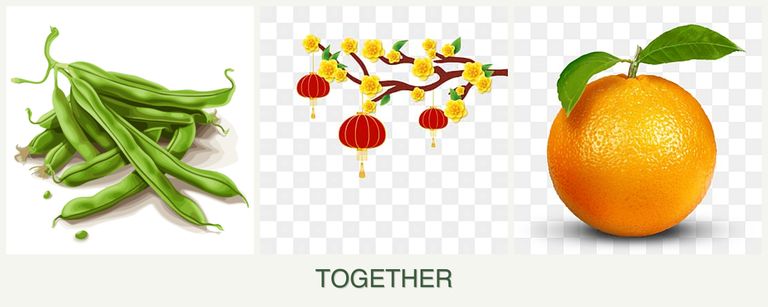 Can you plant beans, apricots and oranges together?