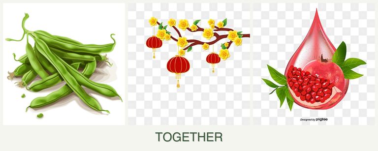 Can you plant beans, apricots and pomegranates together?