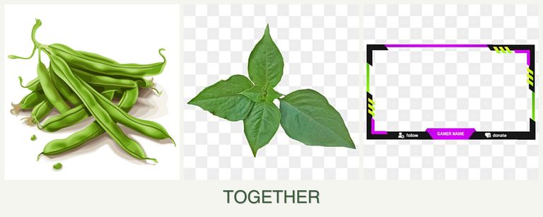 Can you plant beans, basil and limes together?