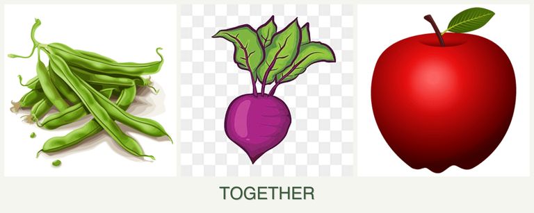 Can you plant beans, beets and apples together?