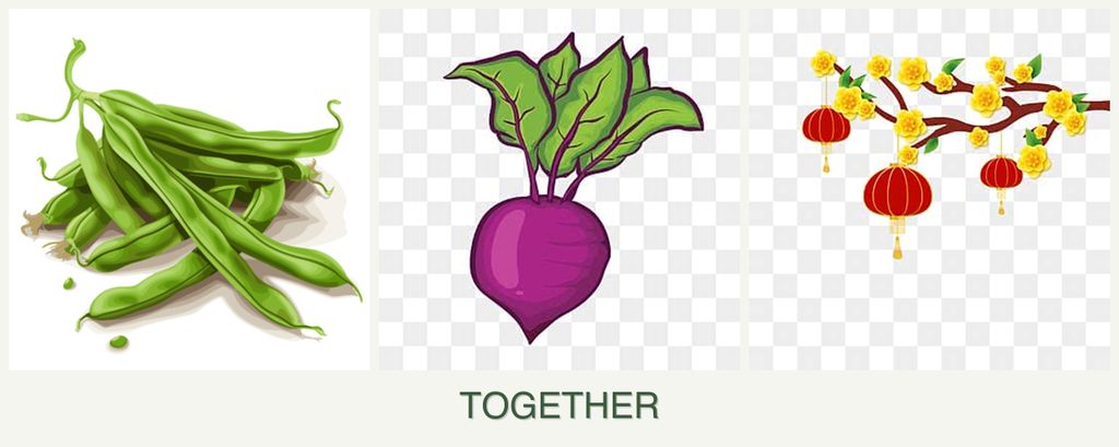Can you plant beans, beets and apricots together?