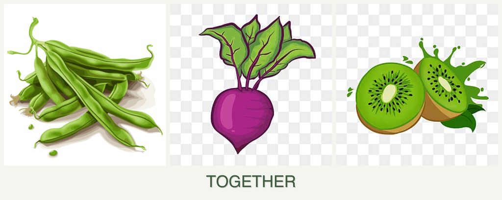 Can you plant beans, beets and kiwi together?