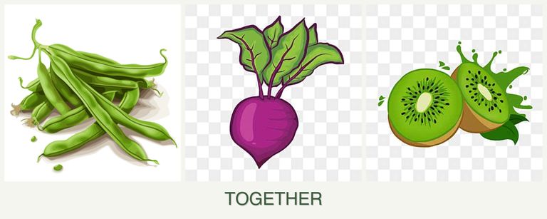 Can you plant beans, beets and kiwi together?