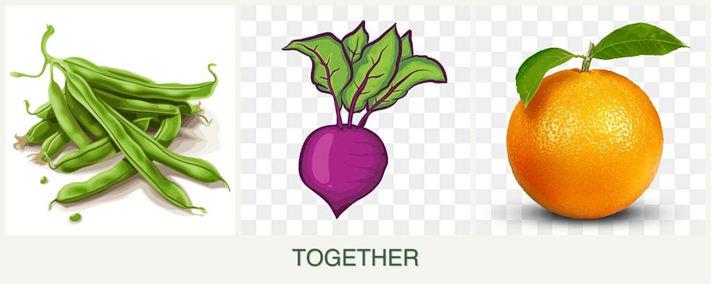 Can you plant beans, beets and oranges together?