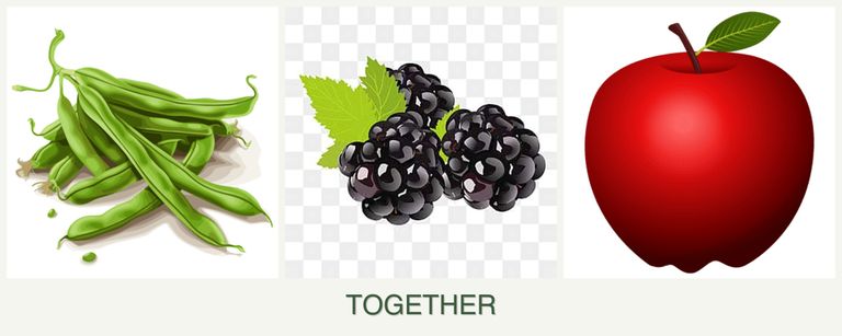 Can you plant beans, blackberries and apples together?