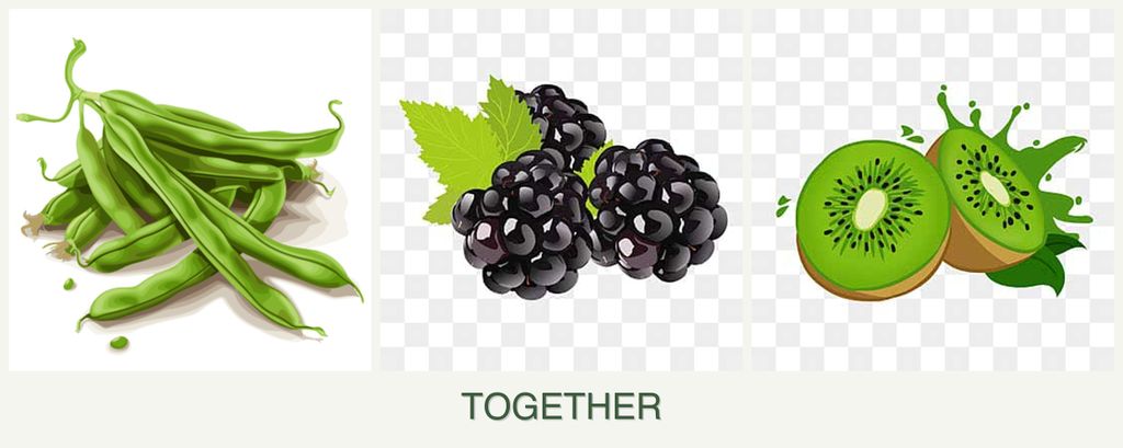 Can you plant beans, blackberries and kiwi together?