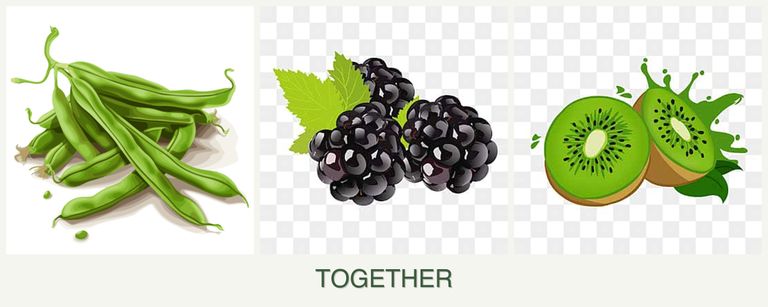 Can you plant beans, blackberries and kiwi together?