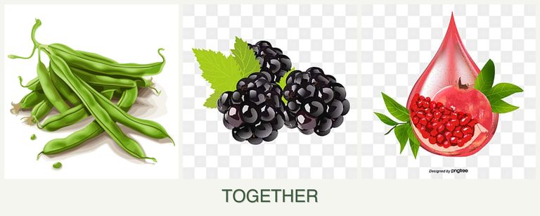 Can you plant beans, blackberries and pomegranates together?