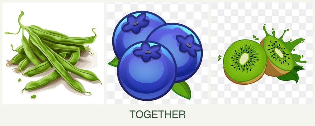 Can you plant beans, blueberries and kiwi together?