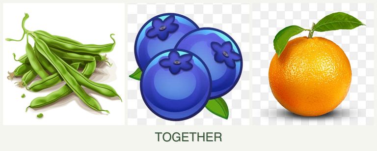 Can you plant beans, blueberries and oranges together?