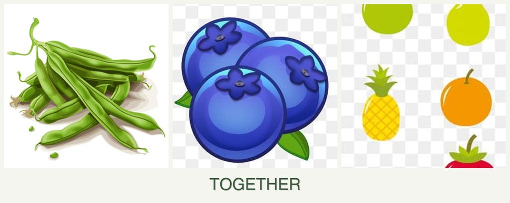 Can you plant beans, blueberries and pears together?