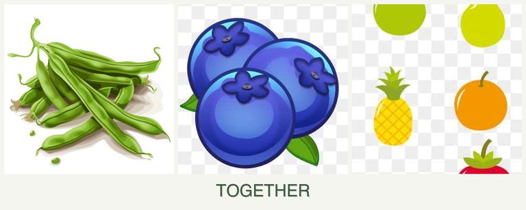 Can you plant beans, blueberries and pears together?