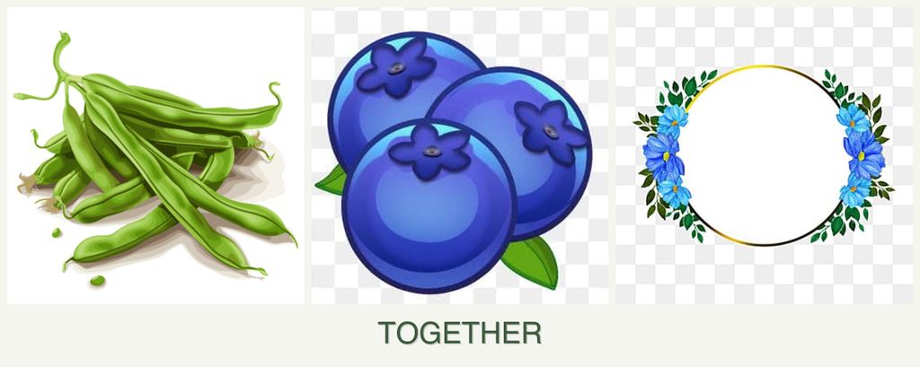 Can you plant beans, blueberries and zinnias together?