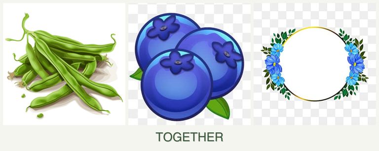 Can you plant beans, blueberries and zinnias together?
