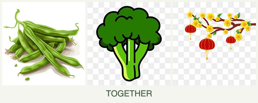 Can you plant beans, broccoli and apricots together?