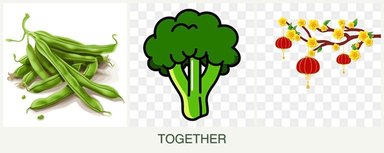 Can you plant beans, broccoli and apricots together?