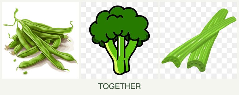 Can you plant beans, broccoli and celery together?