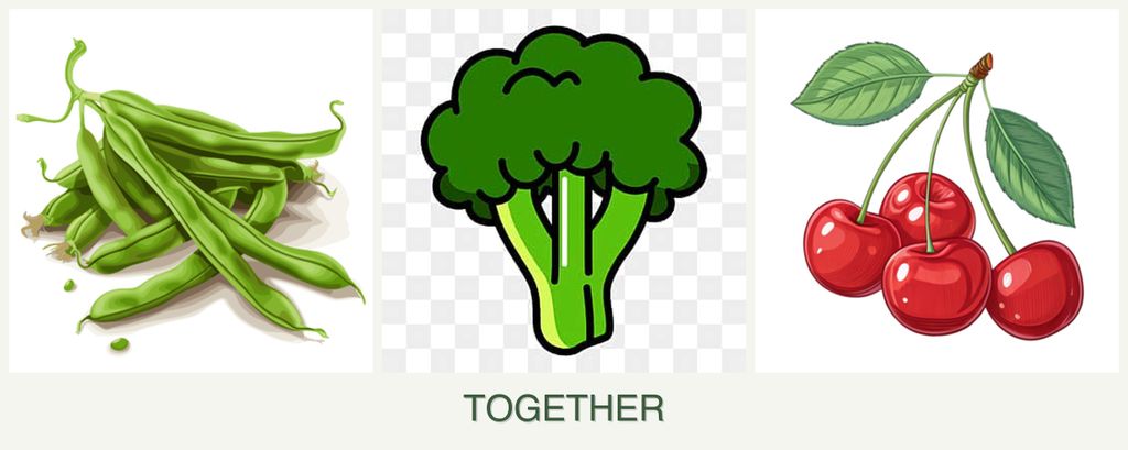 Can you plant beans, broccoli and cherries together?