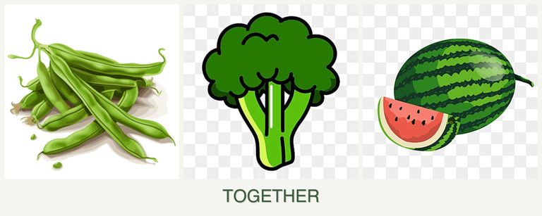 Can you plant beans, broccoli and melons together?