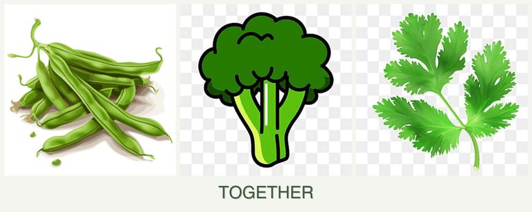 Can you plant beans, broccoli and parsley together?