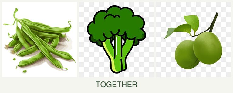 Can you plant beans, broccoli and plums together?