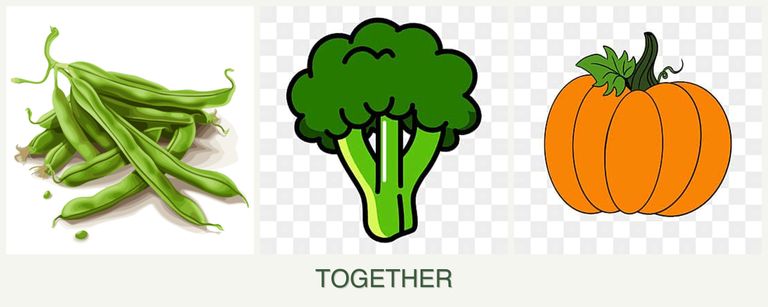 Can you plant beans, broccoli and pumpkin together?