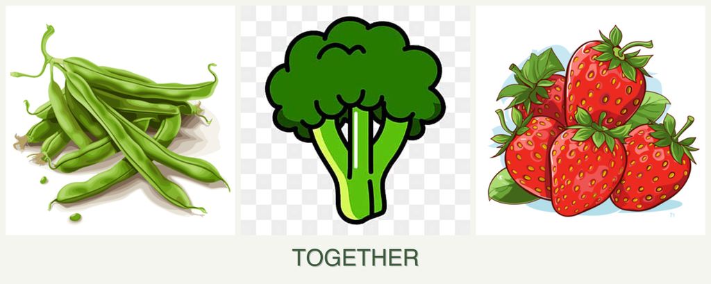 Can you plant beans, broccoli and strawberries together?