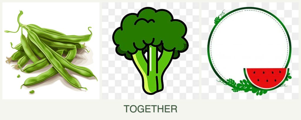 Can you plant beans, broccoli and watermelons together?