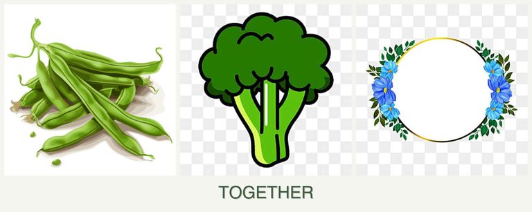 Can you plant beans, broccoli and zinnias together?