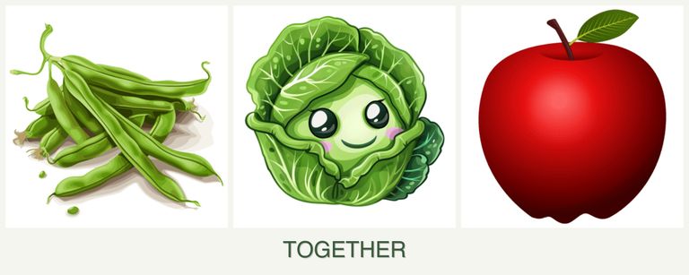 Can you plant beans, cabbage and apples together?