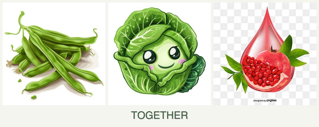 Can you plant beans, cabbage and pomegranates together?